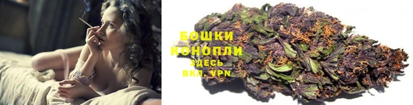 дживик Белокуриха