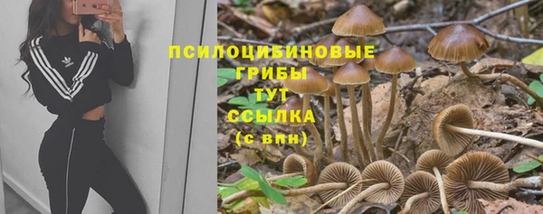 хмурый Балабаново