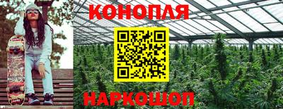 прущие грибы Ливны