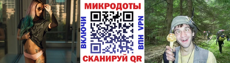 Галлюциногенные грибы мицелий  Горно-Алтайск 