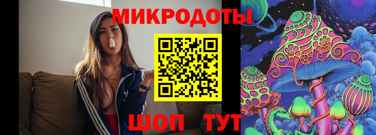 Галлюциногенные грибы мухоморы Горно-Алтайск