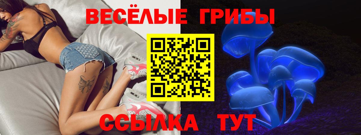 где продают наркотики  Галлюциногенные грибы Magic Shrooms  Вход с VPN  Горно-Алтайск 